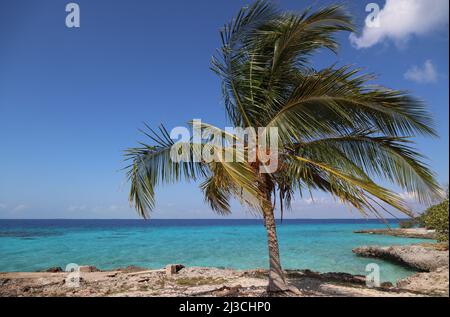 La splendide mer de la Baie des cochons, Cuba Banque D'Images