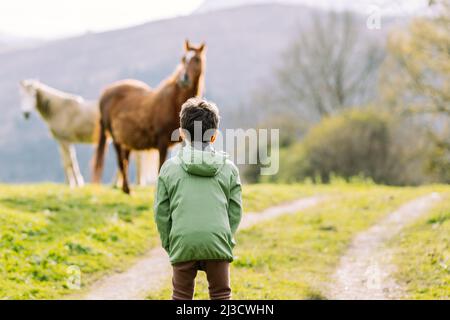 Vue arrière d'un garçon méconnaissable en veste debout sur un sentier rural herbeux près des chevaux dans la nature avec des arbres contre la montagne Banque D'Images