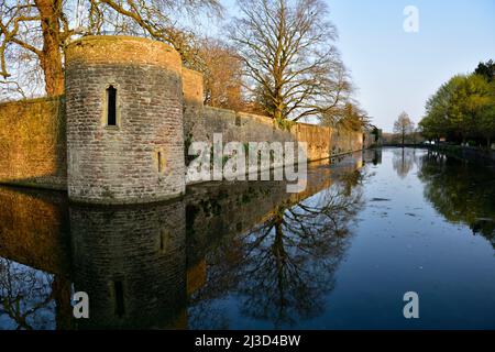 Wells Bishop's Palace douve et murs extérieurs Somerset, Angleterre, Royaume-Uni Banque D'Images