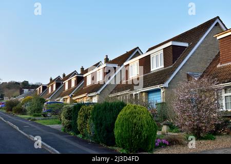 Rangée de maisons individuelles anglaises modernes avec double dormeur fenêtres, Royaume-Uni Banque D'Images
