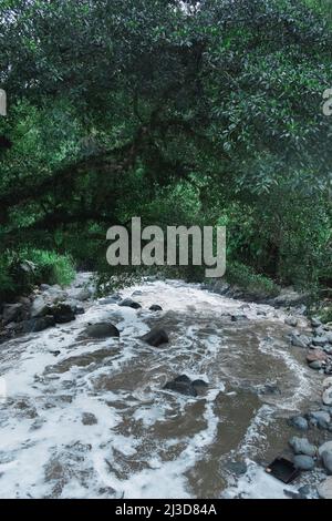 rivière polluée par les eaux usées que les gens rejettent, près de la ville de Pereira-Colombie. Ruisseau très sale qui pollue les eaux de la rivière Otun Banque D'Images