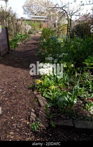 Insole court, Llandaff, Cardiff Victorian House and Gardens - ouvert au public Banque D'Images