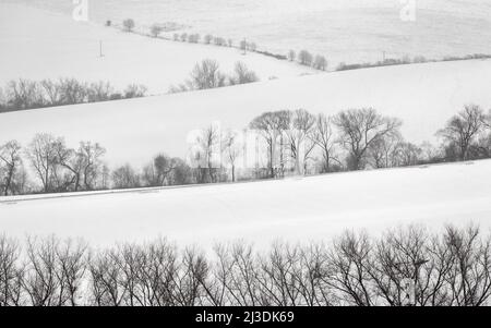 Paysage hivernal de champs enneigés et de lignes d'arbres. Banque D'Images