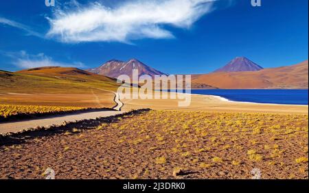 Vue panoramique sur la vallée aride solitaire et sèche avec des touffes d'herbe, chemin dans les montagnes des andes, altiplanic miscanti bleu saumâtre lac d'eau - désert d'Atacama, Chili Banque D'Images