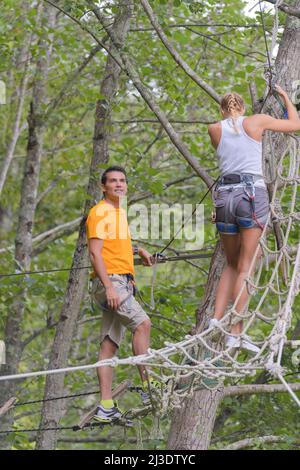 adultes escalade pont de corde dans les arbres Banque D'Images