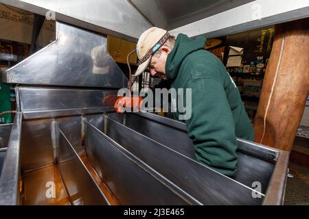 Faire du sirop d'érable : l'homme nettoie le sable de son évaporateur. Cherry Valley, comté d'Otsego, État de New York. Banque D'Images