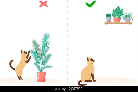 Cat et plantes d'origine. Mauvaises et bonnes façons de garder les plantes à la maison avec l'animal de compagnie. Le méchant chat siamois mange des fleurs dans des pots. Vecteur de style plat Illustration de Vecteur