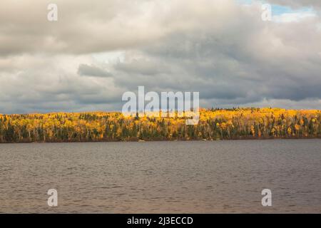Forêt de feuillus et de conifères en bordure du lac Taureau en automne, Saint-Michel-des-Saints, Lanaudière, Québec, Canada. Banque D'Images