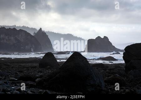 WA21346-00...WASHINGTON - matin Foggy à la plage du Rialto, sur la côte sauvage du parc national olympique. Banque D'Images