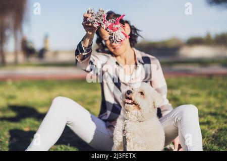 Une femme heureuse joue avec son chien blanc bichon Frise le jour ensoleillé dans le parc. Banque D'Images