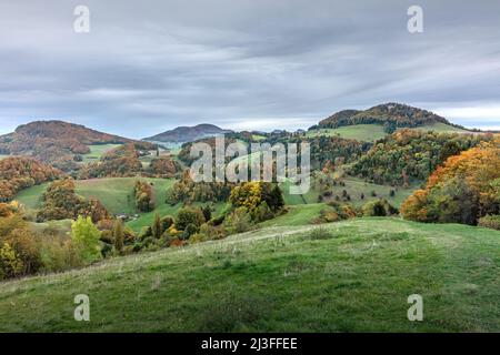 Suisse, Paysage, nature, montagne, Fricktal, Faune Banque D'Images