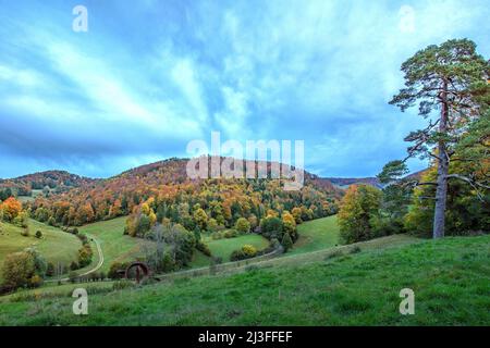 Suisse, Paysage, nature, montagne, Fricktal, Faune Banque D'Images