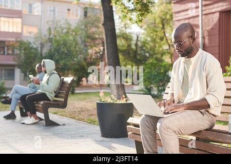 Jeune Noir concentré dans les lunettes assis sur le banc et travaillant avec un ordinateur portable à l'extérieur Banque D'Images
