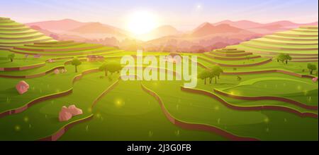 Champs de riz en terrasse au lever du soleil, terres agricoles chinoises ensoleillées le matin au paysage de montagne. Plantation asiatique en cascade, prairie agricole de paysage avec plante Illustration de Vecteur