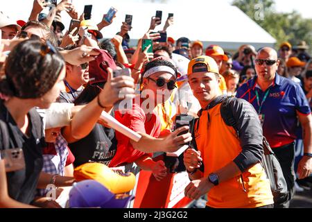 Melbourne, Australie. 08th avril 2022. NORRIS Lando (gbr), McLaren F1 Team MCL36, portrait lors du Grand Prix d'Australie Heineken de Formule 1 2022, tour 3rd du Championnat du monde de Formule 1 de la FIA 2022, sur le circuit Albert Park, du 8 au 10 avril 2022 à Melbourne, Australie - photo DPPI crédit: DPPI Media/Alay Live News Banque D'Images