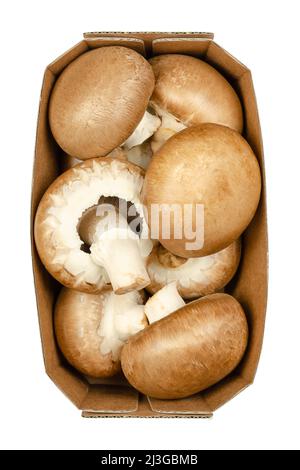 Champignons bruns, champignons entiers, crus et jeunes, dans un plateau en papier Agaricus bisporus, connu sous le nom de champignons bruns suisses, romains ou italiens. Banque D'Images