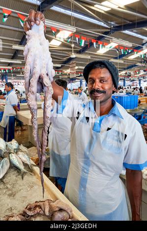 Dubaï. EAU. Le marché aux poissons Banque D'Images