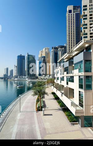 Dubaï. EAU. Marina de Dubaï Banque D'Images