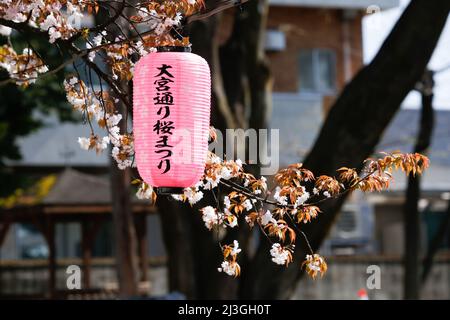 iida, nagano, japon, 2022/02/04 , lanternes appelées Andon accrochant sur Ringo Road dans la ville d'Iida pendant la saison des cerisiers en fleurs. L'andon est une lampe co Banque D'Images