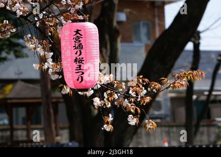 iida, nagano, japon, 2022/02/04 , lanternes appelées Andon accrochant sur Ringo Road dans la ville d'Iida pendant la saison des cerisiers en fleurs. L'andon est une lampe co Banque D'Images