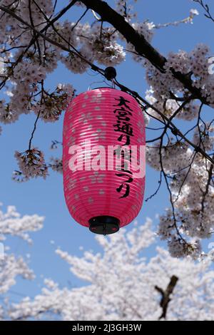 iida, nagano, japon, 2022/02/04 , lanternes appelées Andon accrochant sur Ringo Road dans la ville d'Iida pendant la saison des cerisiers en fleurs. L'andon est une lampe co Banque D'Images