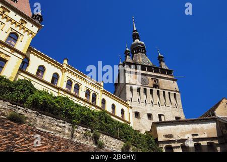 Tour de l'horloge de Sighisoara dans la ville médiévale fortifiée, Roumanie Banque D'Images