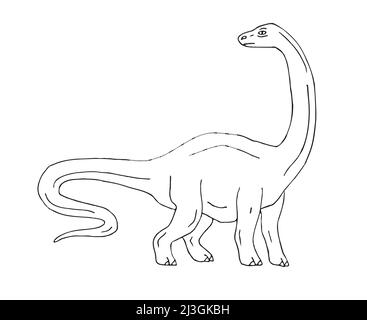 Dessin vectoriel à la main diplodocus brachiosaurus dinosaure isolé sur fond blanc Illustration de Vecteur