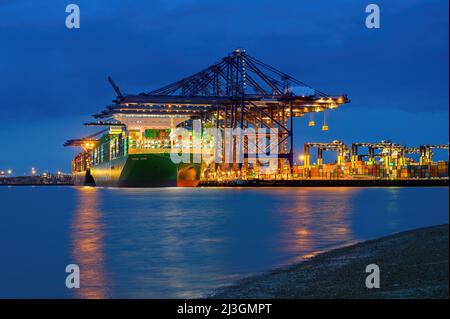 Ever Ace (Evergreen), le porte-conteneurs ultra grand format au port de Felixstowe - janvier 2022. Banque D'Images
