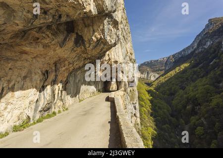 France, Isère, massif du Vercors, Parc naturel régional, la route à couper le souffle des Gorges de Nan Banque D'Images