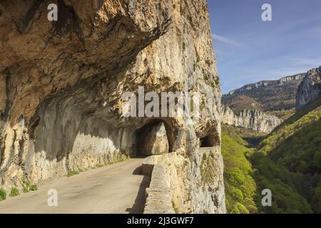 France, Isère, massif du Vercors, Parc naturel régional, la route à couper le souffle des Gorges de Nan Banque D'Images