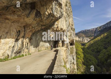 France, Isère, massif du Vercors, Parc naturel régional, la route à couper le souffle des Gorges de Nan Banque D'Images