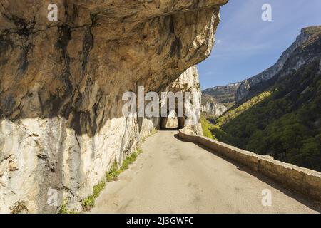 France, Isère, massif du Vercors, Parc naturel régional, la route à couper le souffle des Gorges de Nan Banque D'Images