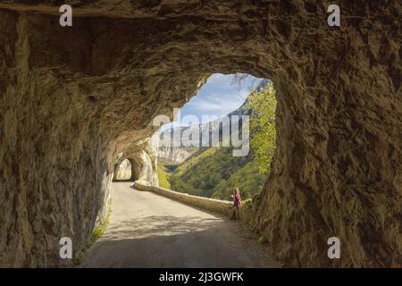 France, Isère, massif du Vercors, Parc naturel régional, la route à couper le souffle des Gorges de Nan Banque D'Images