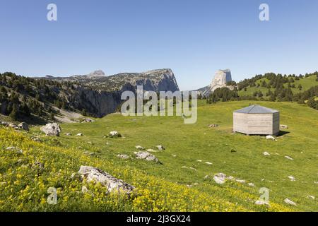 France, Isère, Parc naturel régional du Vercors (Parc naturel régional du Vercors), qui abrite Chamailloux et Mont aiguille (2 086 m) des hauts plateaux du Vercors Banque D'Images