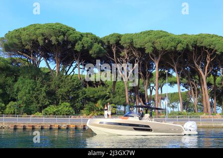 France, Alpes Maritimes, Mandelieu la Napoule, croisière romantique sur la Siagne à bord d'un yacht avec les pins ombrelles du parcours de golf Old course en arrière-plan Banque D'Images