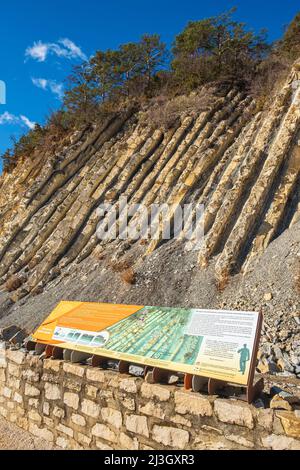France, Drôme, Parc naturel régional provençal de Baronnies, la Charce, site géologique du serre de l'Ane Banque D'Images