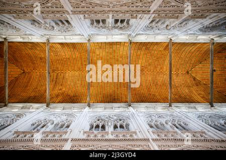 France, Normandie, Eure, Vallée de Risle, Pont-Audemer, Étiqueté le plus beau détours de France, église Saint-Ouen (16th siècle), plafond de la nef Banque D'Images