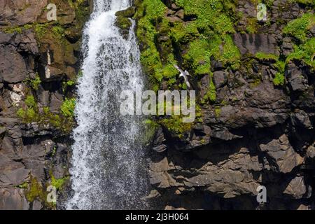 Danemark, îles Féroé, cascade de Mulafossur, Gasaldur, île de Vagar Banque D'Images