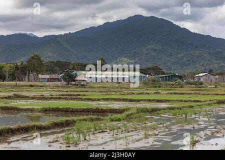 Philippines, Palawan, Puerto Princesa, prison d'Iwahig et ferme pénitentiaire, vue générale sur les bâtiments, les rizières et la montagne en arrière-plan Banque D'Images