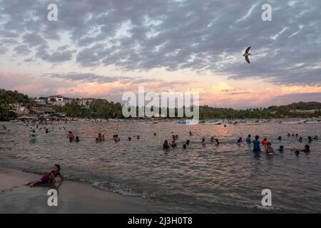 Le Mexique, l'État d'Oaxaca, Puerto Escondido et sa plage, Punta Zicatela, les pélicans bruns (Pelecanus occidentalis) coexistent et parfois même des poissons parmi les surfeurs et les nageurs Banque D'Images