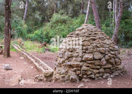 France, Hérault, Vic-la-Gardiole, la Forêt d'Aresquiers Banque D'Images