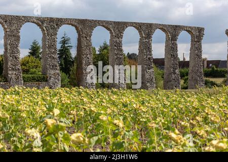 France, Indre et Loire, vallée de la Loire classée au patrimoine mondial par l'UNESCO, Luynes, l'aqueduc gallo-romain du 3rd siècle mesure actuellement 269 mètres contre 565 à l'origine Banque D'Images