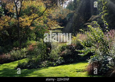 France, Seine-Maritime, Sainte Marguerite sur Mer, jardin du Vasterival Banque D'Images