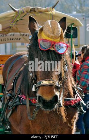 France, Haut Rhin, Munster, carnaval pour enfants, cheval déguisé tirant un char Banque D'Images