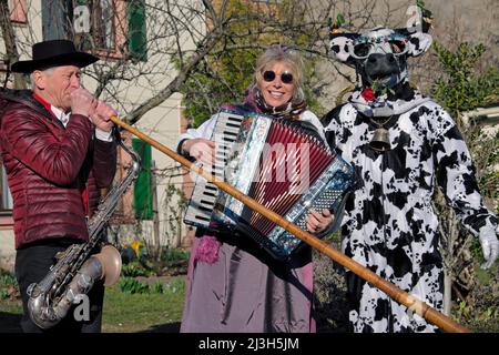 France, Haut Rhin, Munster, carnaval pour enfants, le défilé, Musiciens, accordéon, Alphorn, vache des Vosges Banque D'Images