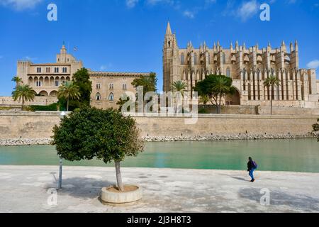 Espagne, Iles Baléares, Majorque, Palma de Majorque, la Cathédrale de Santa Maria de Palma construite entre 1229 et 1601 dans le style gothique catalan, également appelée la Seu et le Palais Royal d'Almudaina Banque D'Images