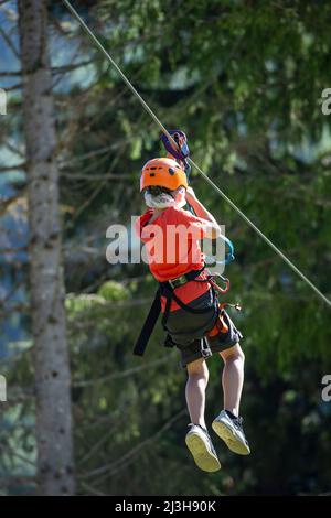 France, haute Savoie (74) massif du Mont blanc , les Contamines Montjoie, parc de loisirs du Pontet, le parc aventure dans les arbres propose des parcours de differentes difficiles selon l'âge Banque D'Images