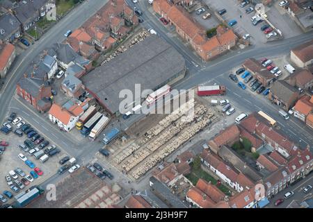 Vente aux enchères de moutons au Malton Livestock Market, North Yorkshire, 2016. Banque D'Images