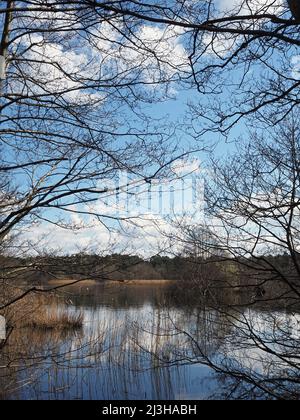 Lac Boldermere à Wisley et Ockham Common, Chatley Heath, Surrey, Royaume-Uni. Banque D'Images