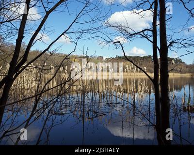 Lac Boldermere à Wisley et Ockham Common, Chatley Heath, Surrey, Royaume-Uni. Banque D'Images